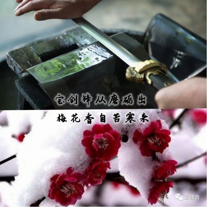 1739934371422.png 1692172465158930.png